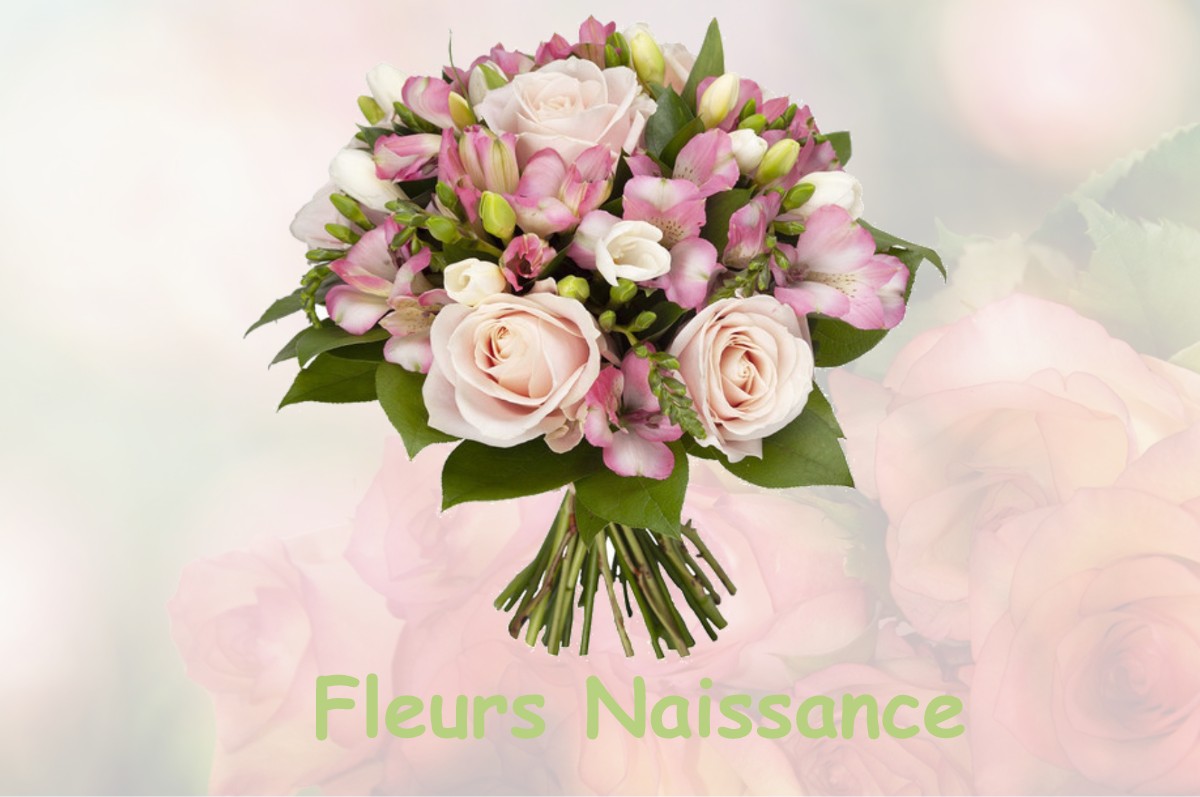 fleurs naissance SAINTE-MARGUERITE-LAFIGERE
